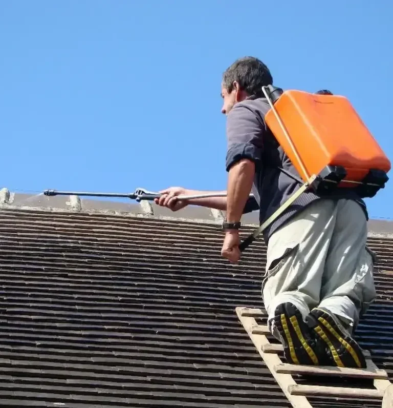 homme nettoyant une toiture 